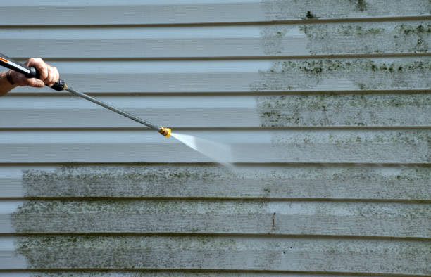 Best Mold Cleaning Services  in Mathews, VA