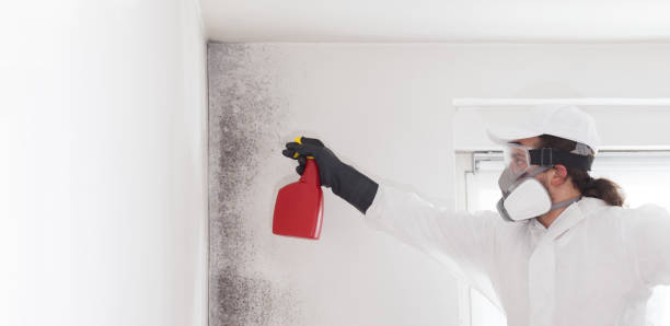 Best Mold Testing  in Mathews, VA