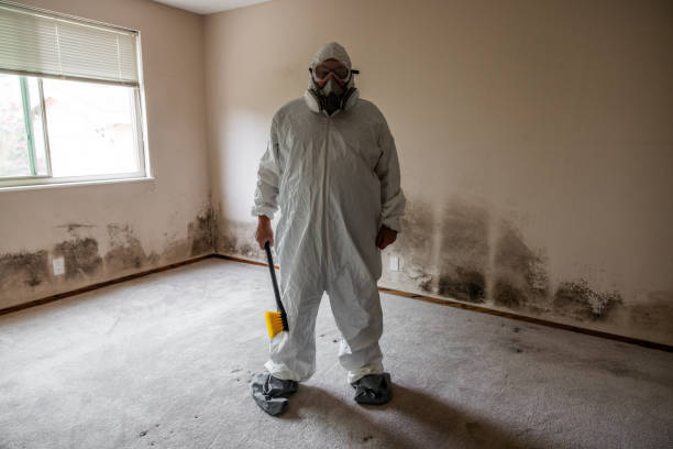 Best Commercial Mold Removal  in Mathews, VA